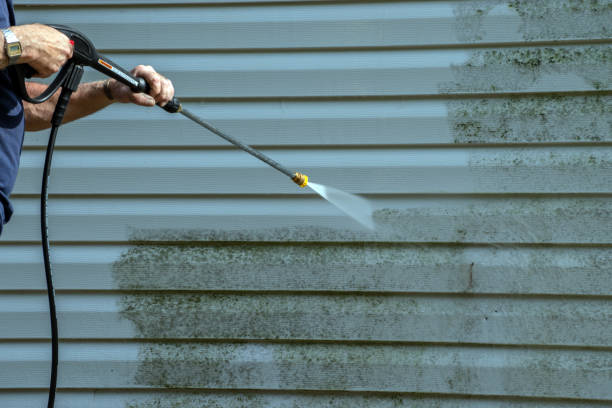Best Dumpster Area Cleaning  in Burr Ridge, IL