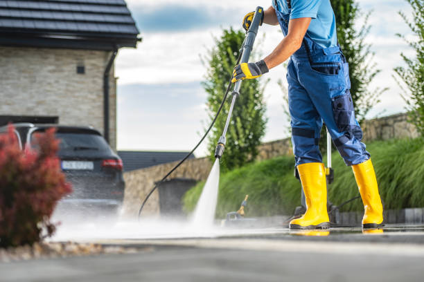 Best Roof Washing  in Burr Ridge, IL